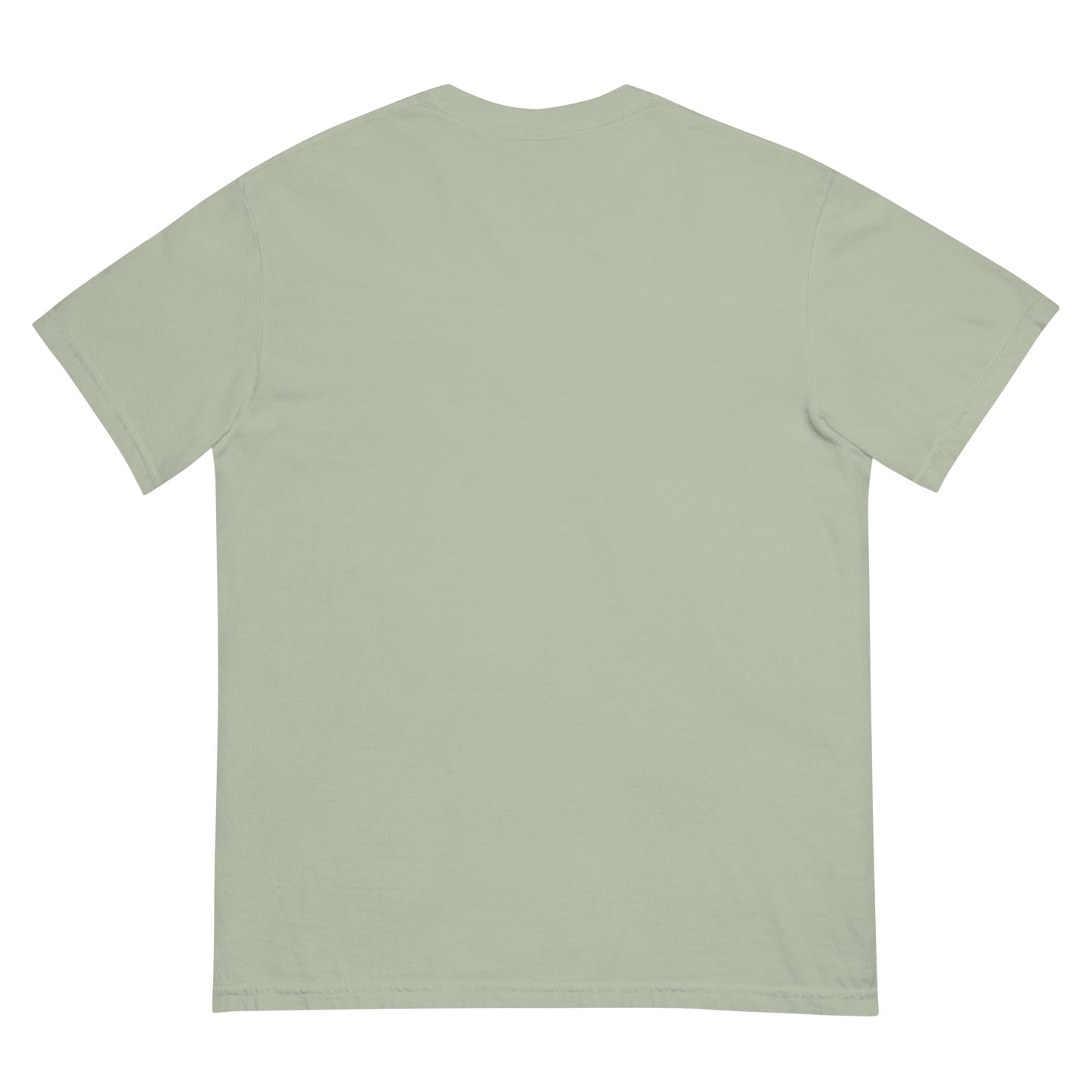 I don't care how you were raised t-shirt