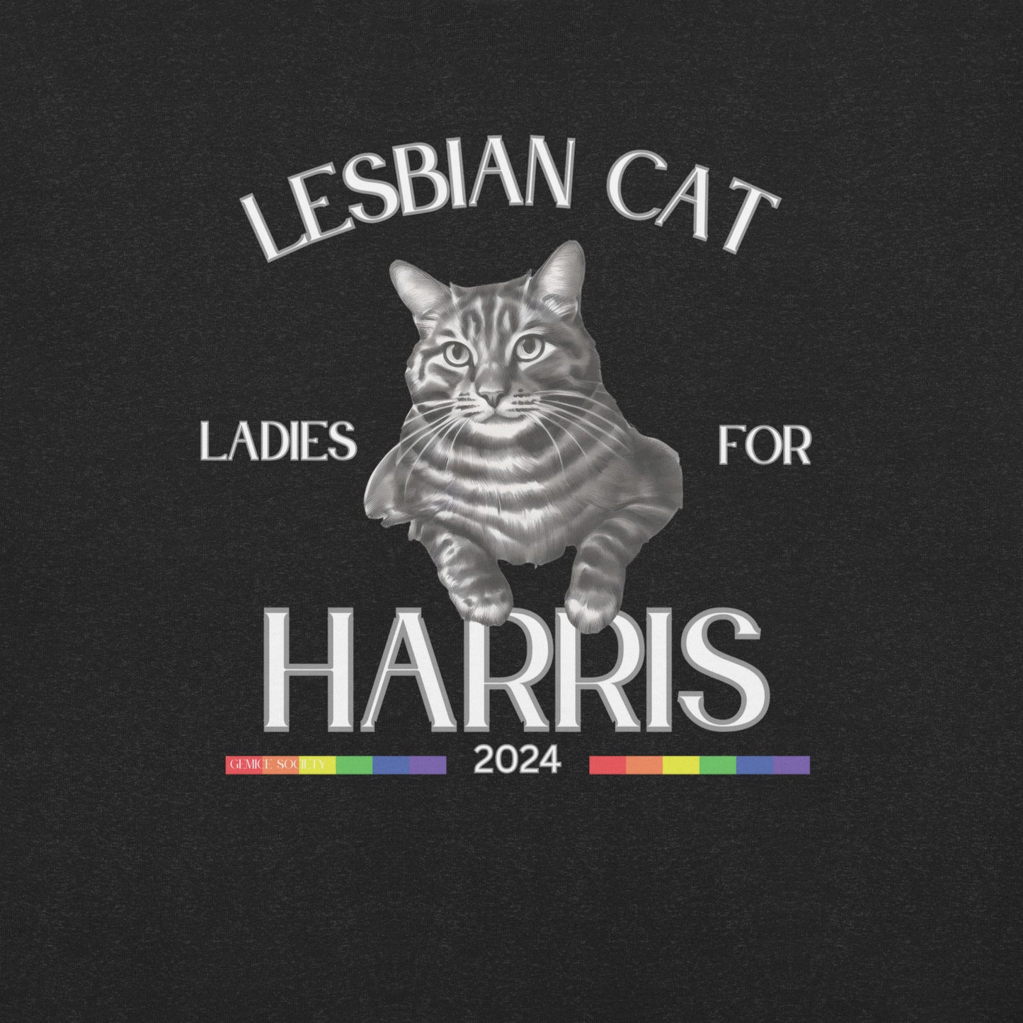 Lesbian Cat ladies for Harris 2024